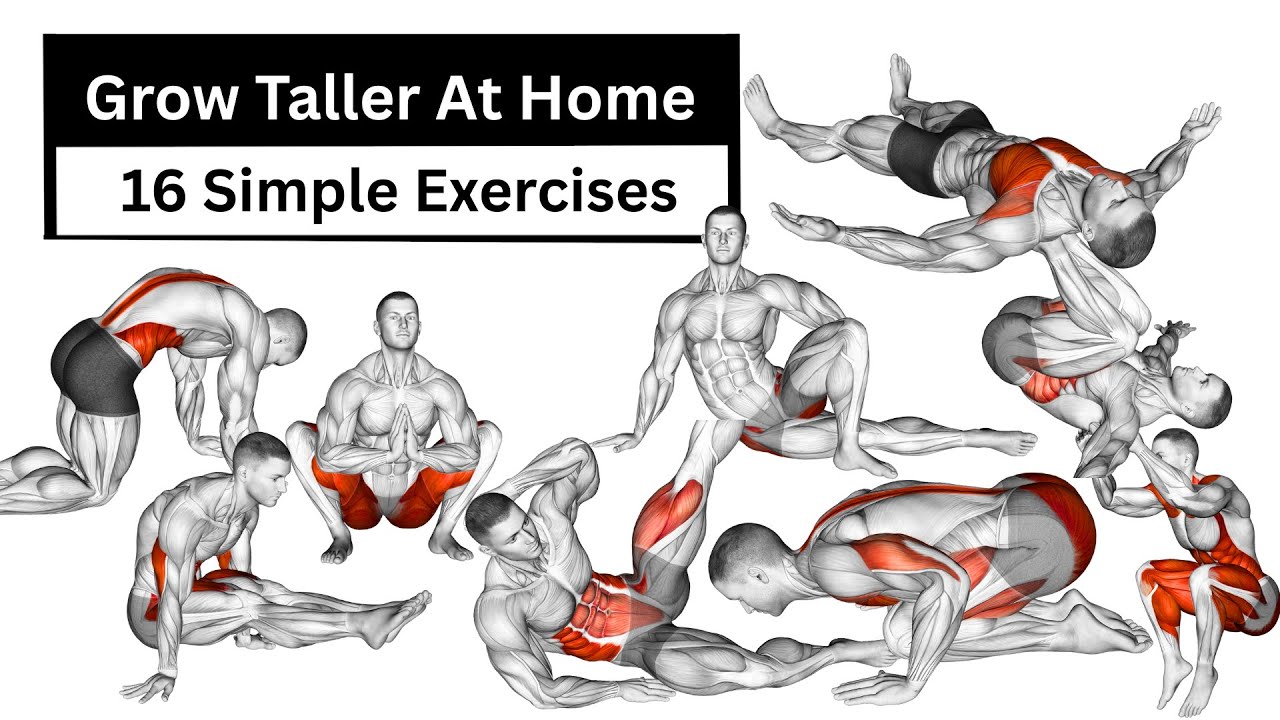 Grow Taller Without Equipment | 16 Simple Height Boosting Stretches