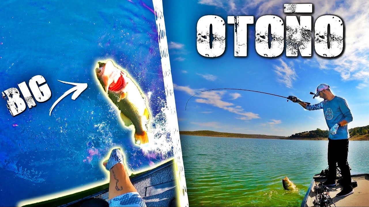 PESCA del BASS en OTO&Ntilde;O *Me roban los jigs*