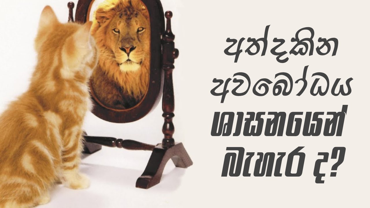 අත්දකින අවබෝධය ශාසනයෙන් බැහැර ද? | Uddesavibhanga Suthraya (2022.01.08)