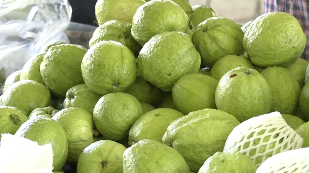 Hechos del Agro - Cosecha de guayaba
