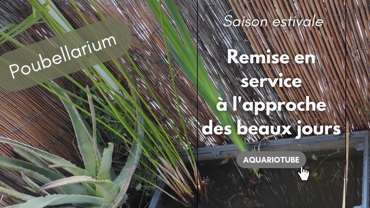 Poubellarium - Entretien avant remise en service pour l'été