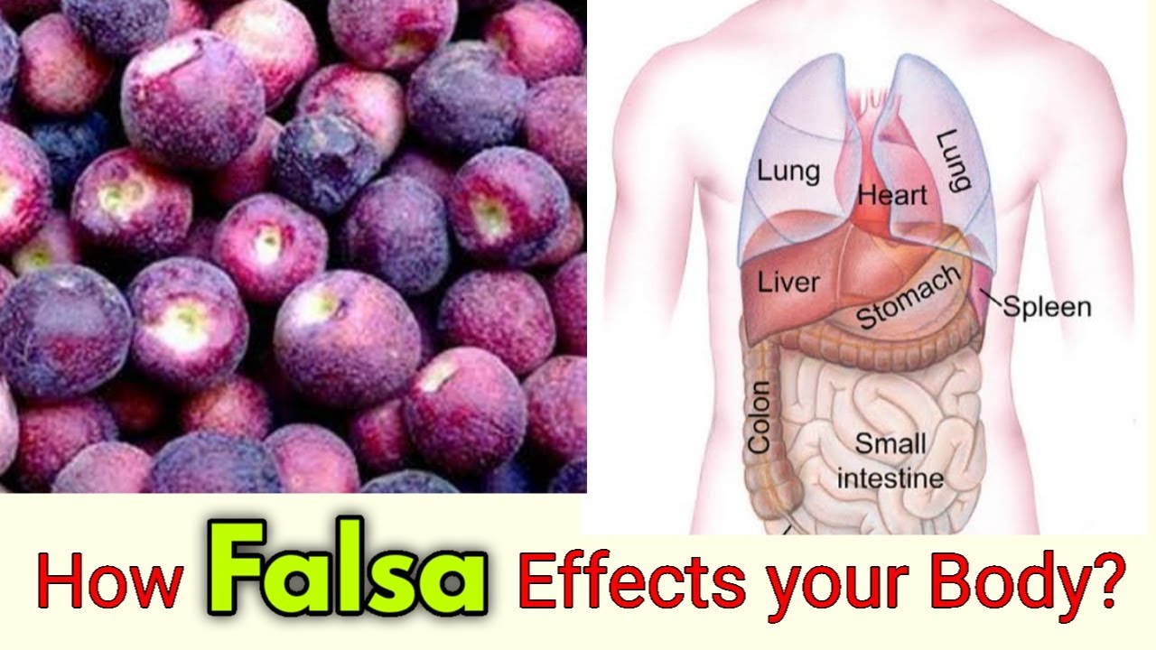 How Falsa Effects Your Body || Benefits of Falsa Juice| Grewia asiatica