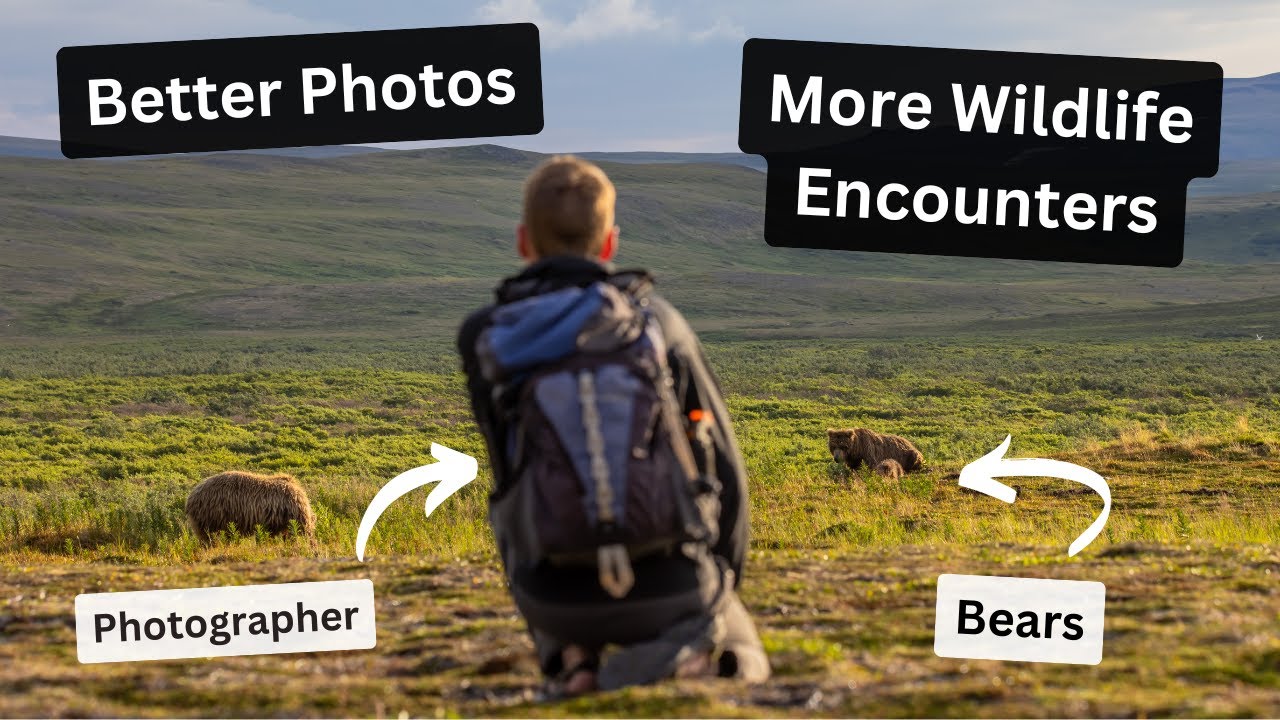 A better way to Photograph Wildlife. More encounters, better photos and natural behaving animals.