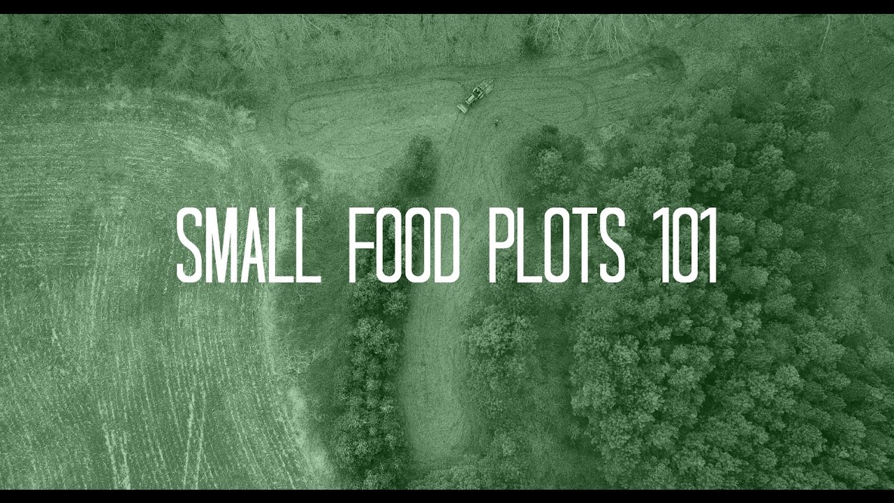 Food Plots 101 | Small Food Plots
