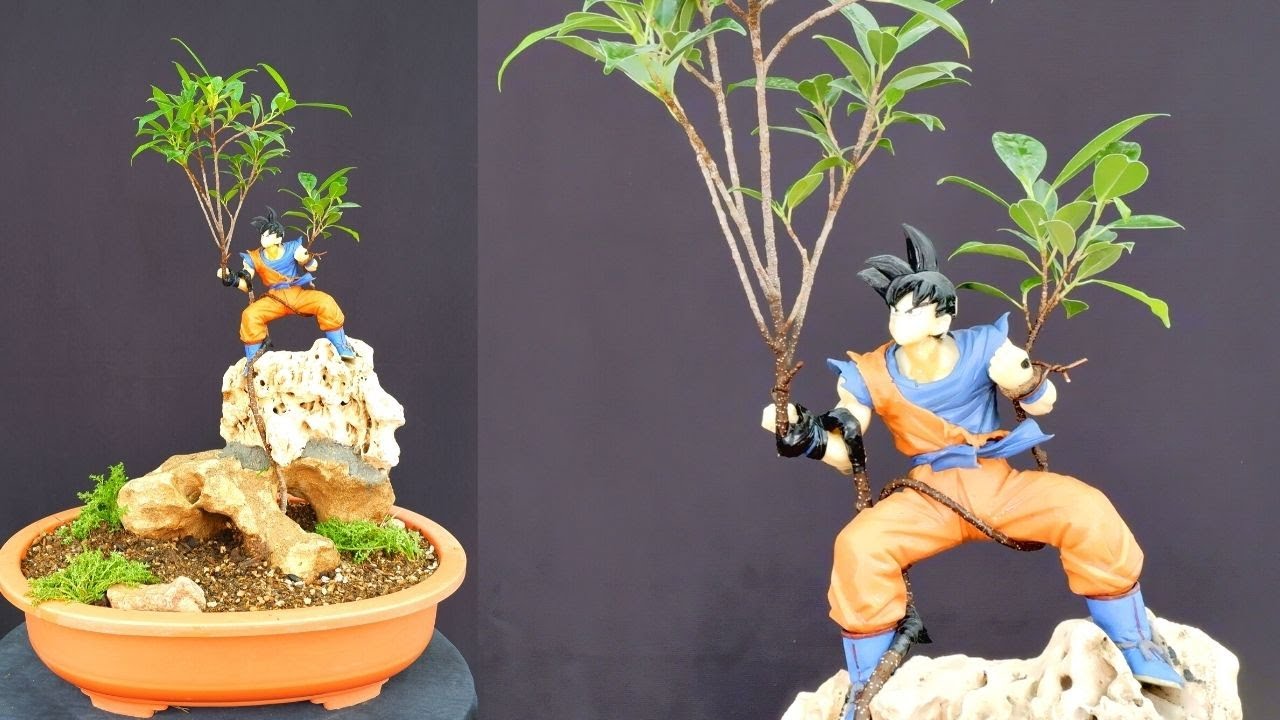 How to Make Ficus Bonsai/ Goku Statue Bonsai