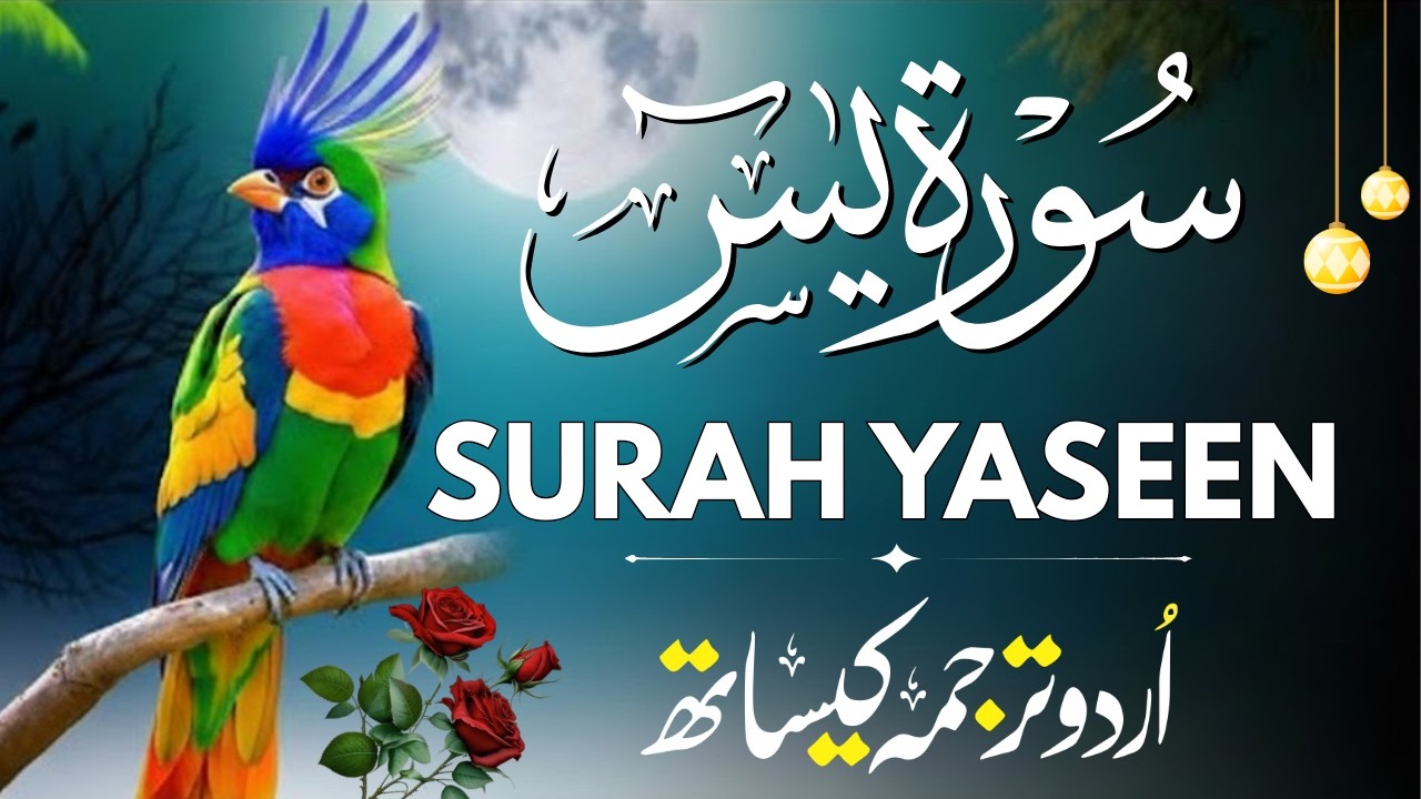 Surah Yaseen | Surah Yaseen With Urdu Translation Full | Yasin Hindi Translation Beautiful Voice