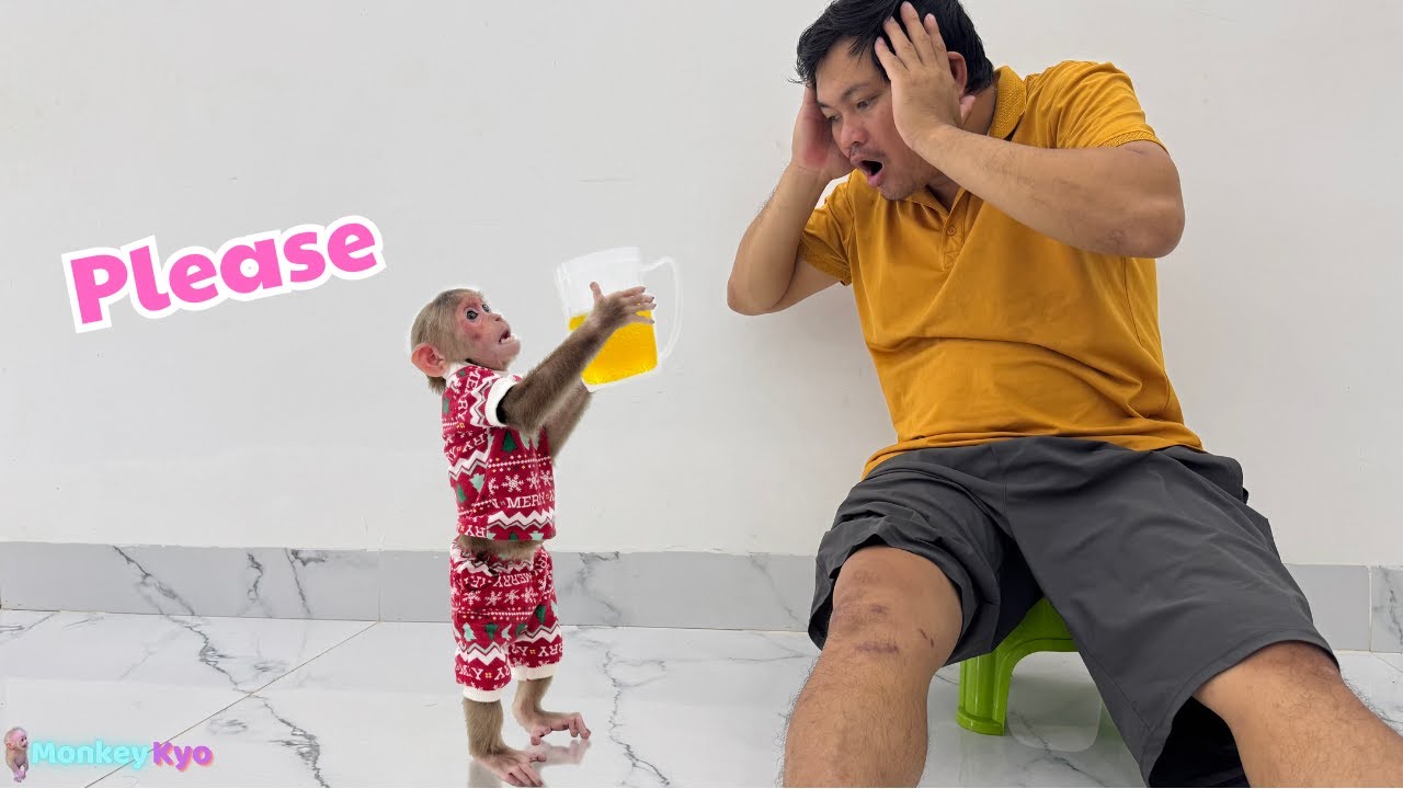 You Won&rsquo;t Believe How Baby Monkey Kyo Helped Her Dad!