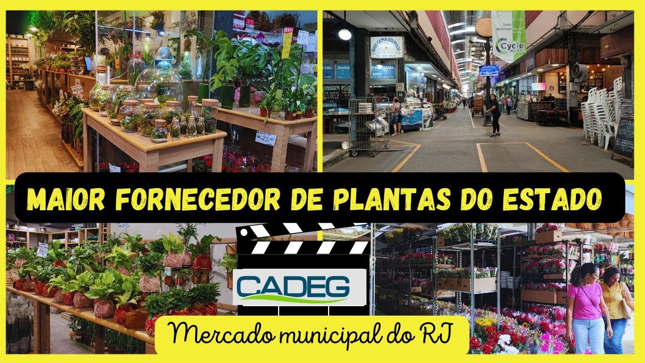 CADEG maior fornecedor de plantas do estado - mercado municipal do Rio de Janeiro - fiz um tour