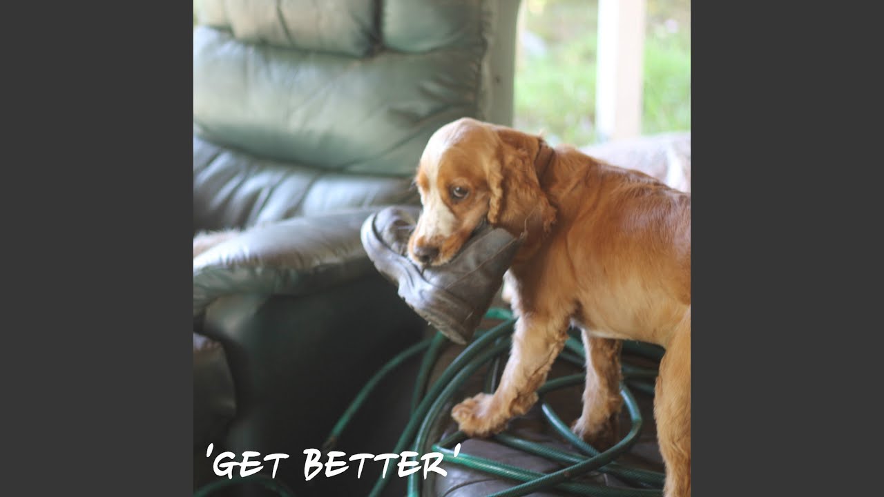 Get Better