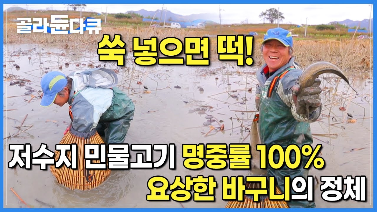 저수지에서만 쓰는 전쟁무기(?) | 진흙 속 숨어있는 물고기를 잡기 위한 특단의 무기 | 가래치기 | 한국기행 | #골라듄다큐
