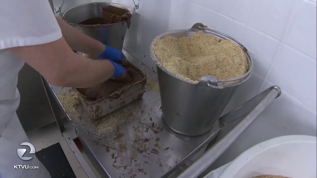 Factory Tour: The Magic of See's Candies
