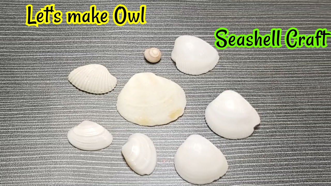 DIY Seashell Crafts Beach Decorations Shell Craft Ideas Art Painting and jewelry