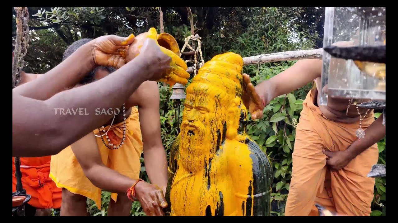 பொதிகை மலை அகஸ்தியர்  அபிஷேகம் | பொதிகை மலை அகத்தியர் சுவாமி பூஜை | Pothigaimalai Agathiyar Abisegam