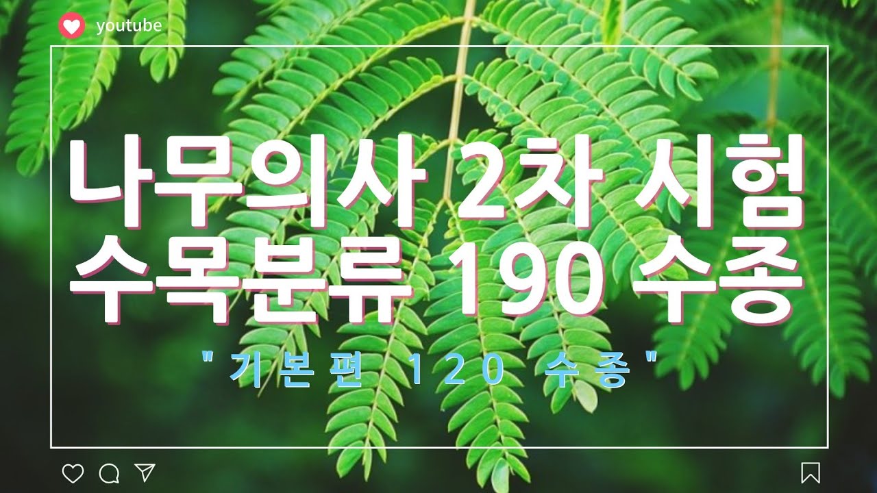 나무의사 2차 시험 수목분류 190여 수종  영상 