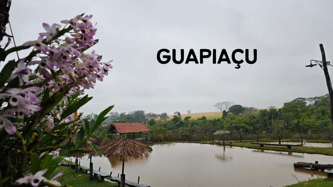 Guapiaçu SP - Passeio da Rota 408 pela cidade de Guapiaçu - 11° Temp - Ep 100