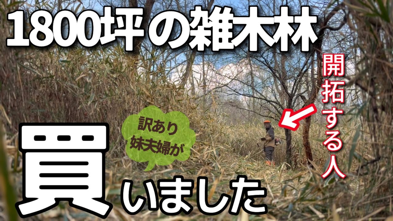 #1 壮大な夢の始まり/余命宣告 義弟の夢を家族みんなで叶える!/笹 竹 倒木 広大な土地の開拓