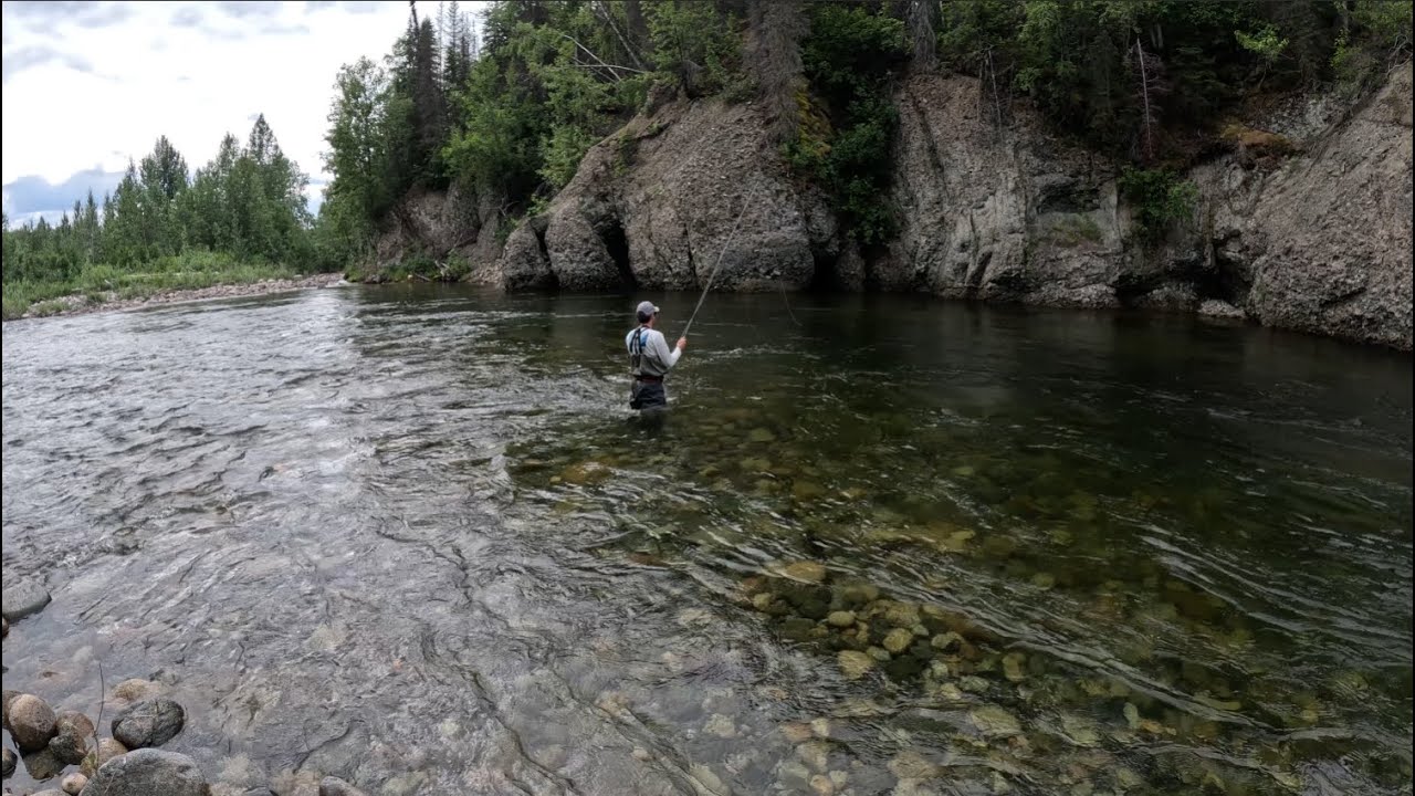 Fishing for Artic Grayling in Willow Alaska