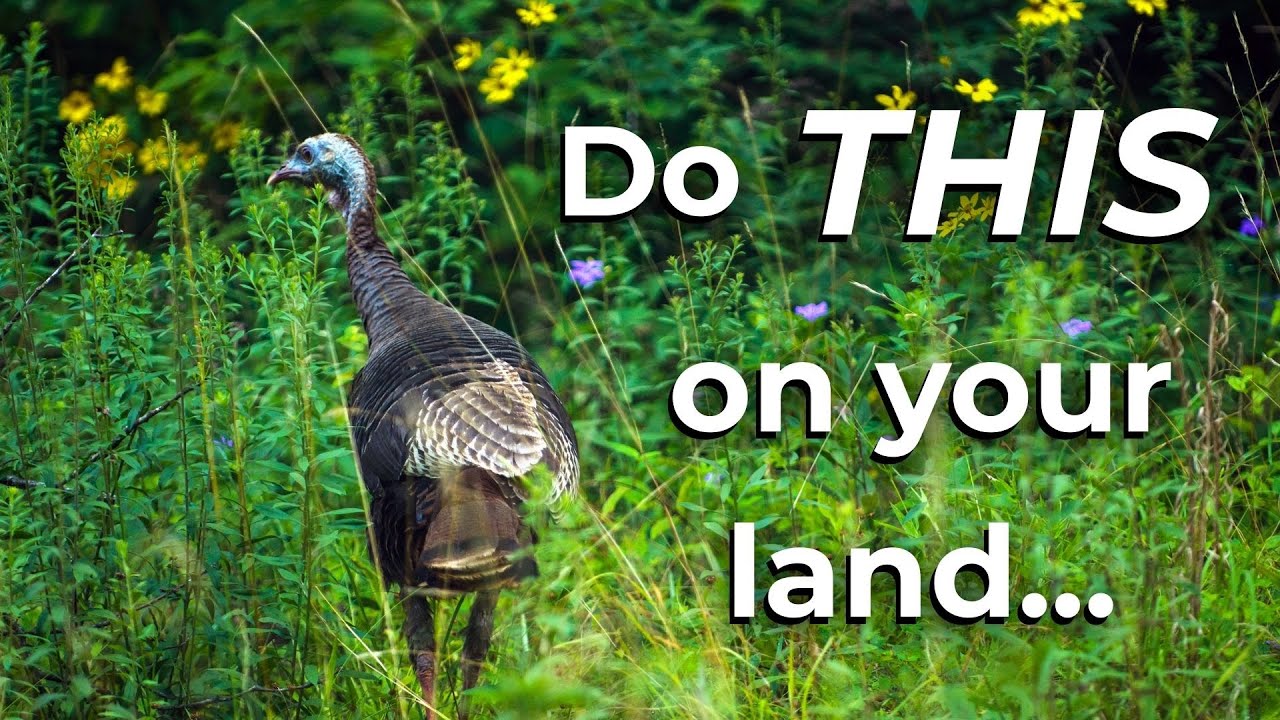 Designing your turkey property | Ep 146