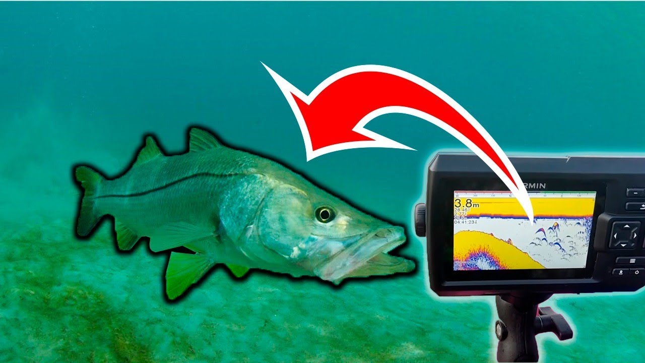 ✅ Robalos atacando cardume de peixes ao vivo - Veja as Principais Leituras do SONAR GARMIM VIVID 5CV