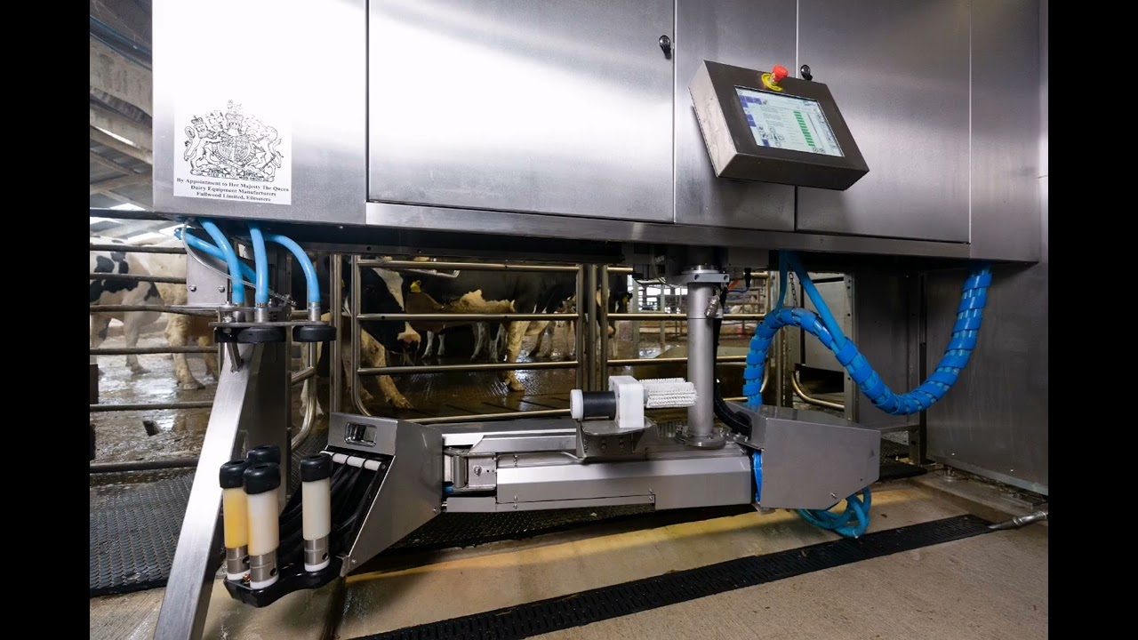 Robot udojowy M2erlin - prezentacja