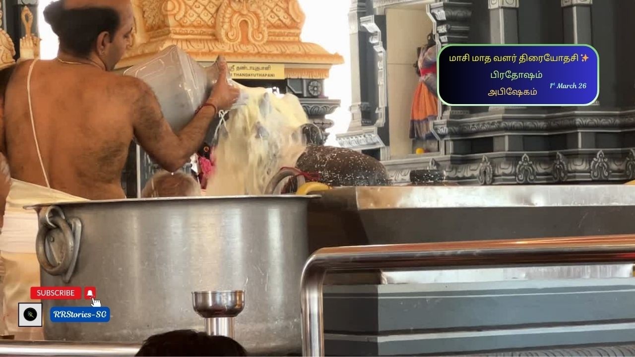Vlog 464 ✨ மாசி மாத வளர் திரையோதசி✨பிரதோஷ அபிஷேகம் தரிசனம், மனம் அமைதி பெருகும் & negative thoughts