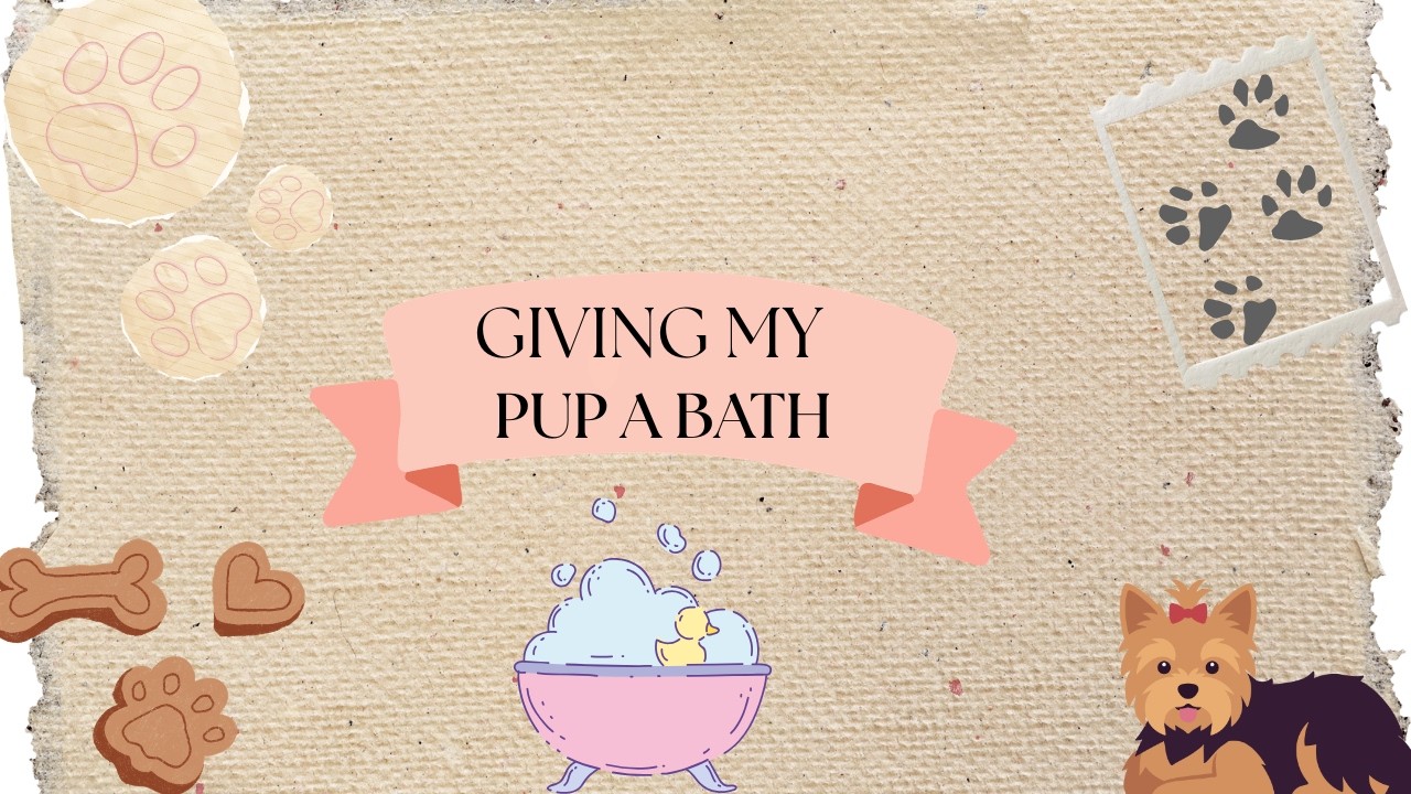 Giving my pup a bath