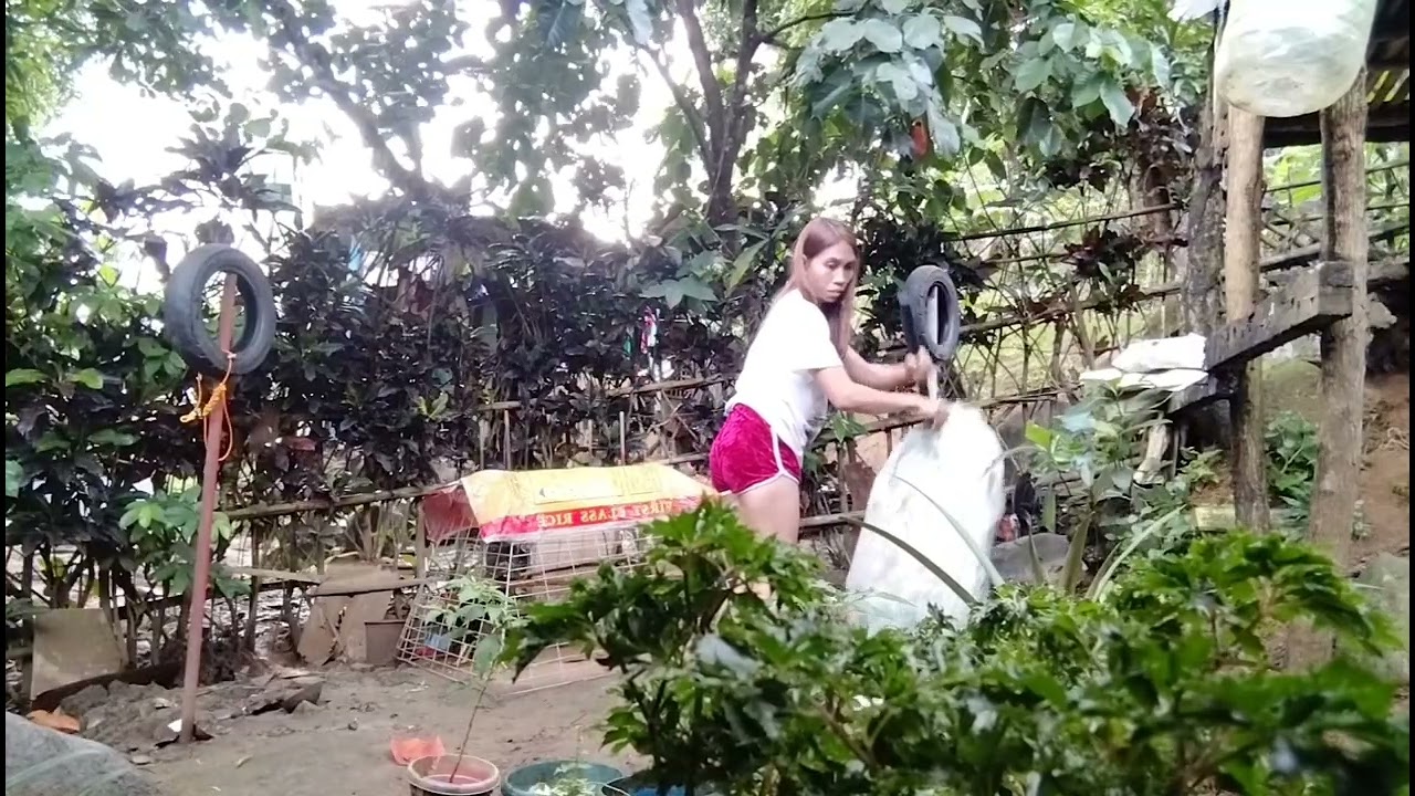 Part 2 Nang Pagwawalis ni kurdapya🥰