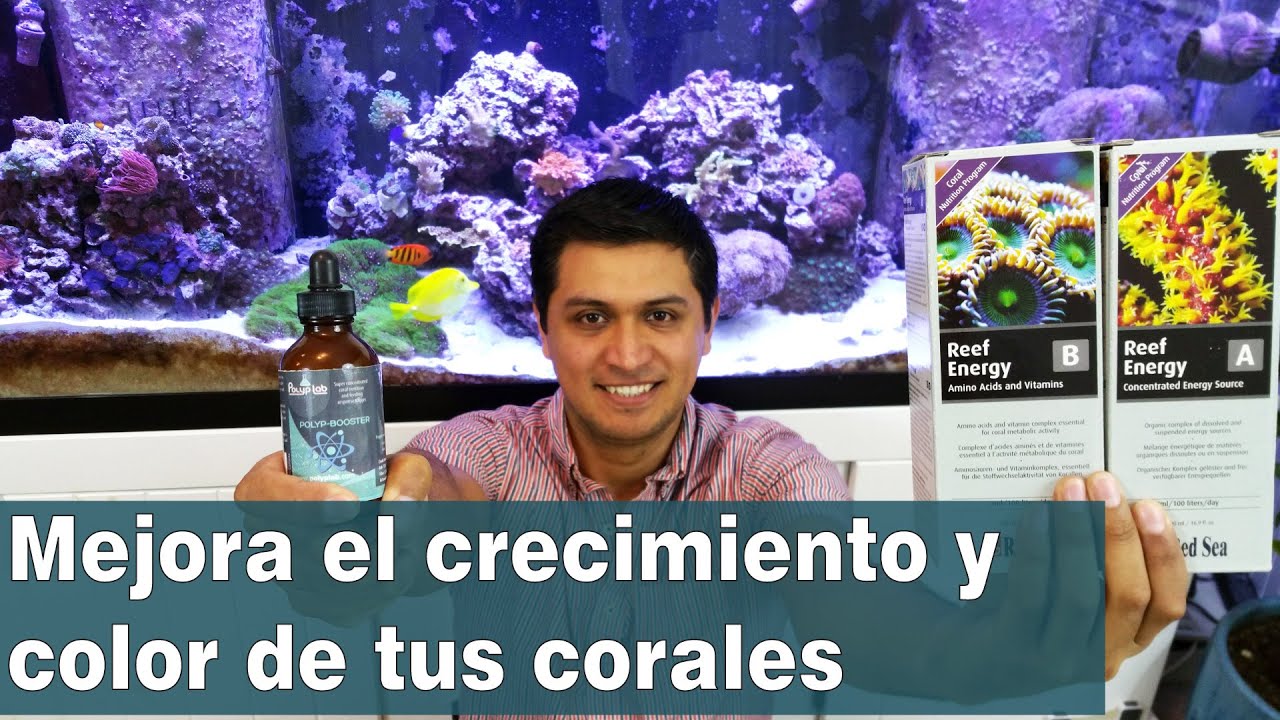 Mejora el crecimiento y color de tus corales - Review: Red Sea Reef Energy