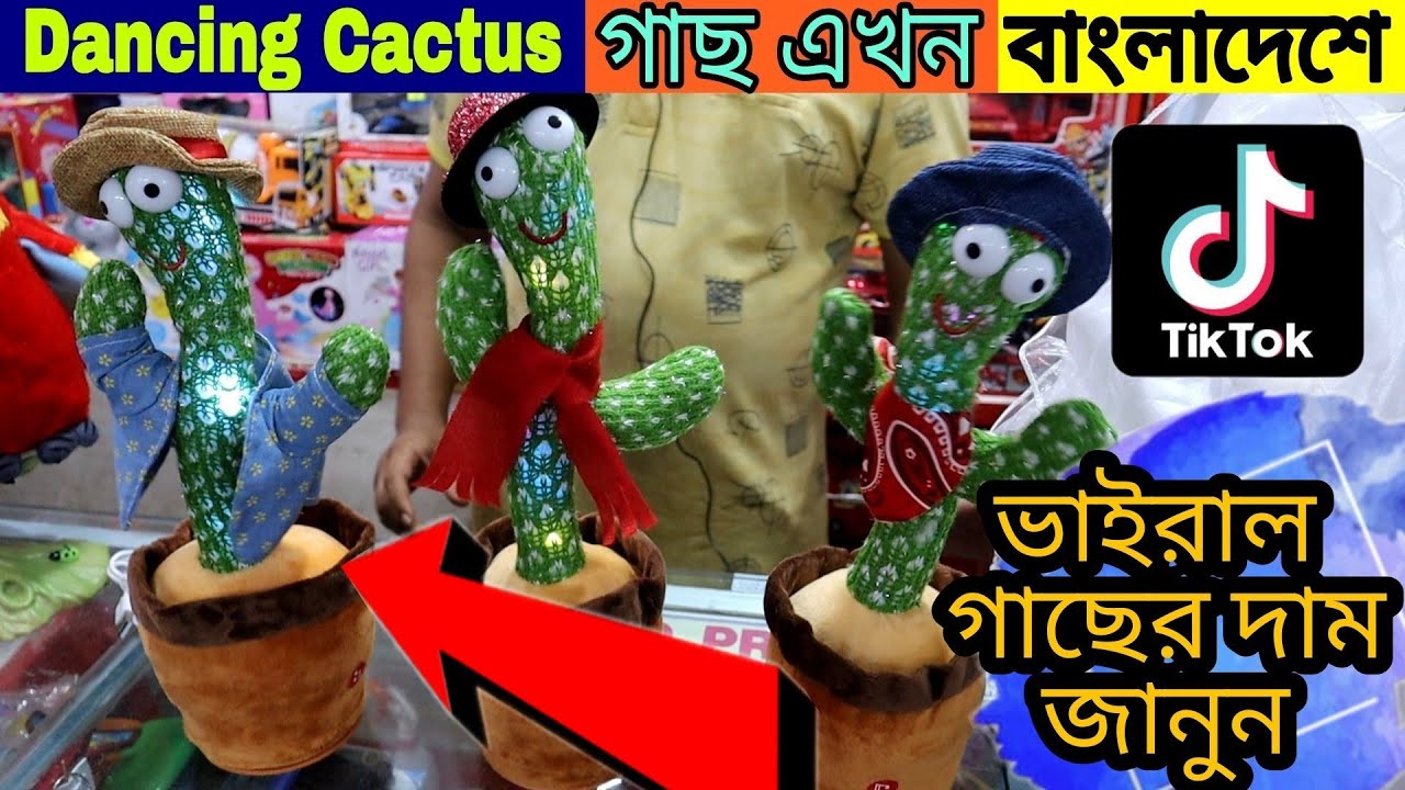 বাংলাদেশে😱🌵💃এসে গেল বিশ্ব কাঁপানো ক্যাকটাস ডান্সিং গাছ || Dancing🌵 Cactus tree price in Bangladesh
