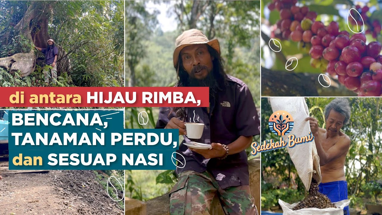 Di Antara Hijau Rimba, Bencana, Tanaman Perdu, dan Sesuap Nasi