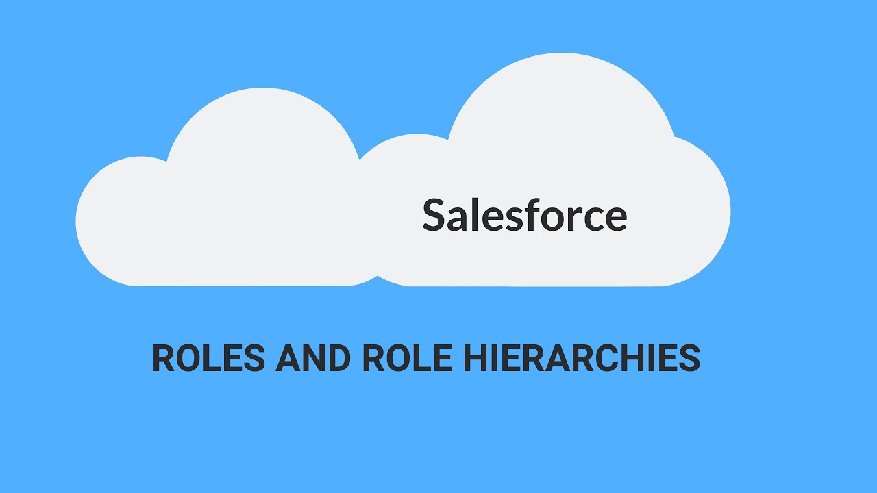 Roles and Role Hierarchies in Salesforce