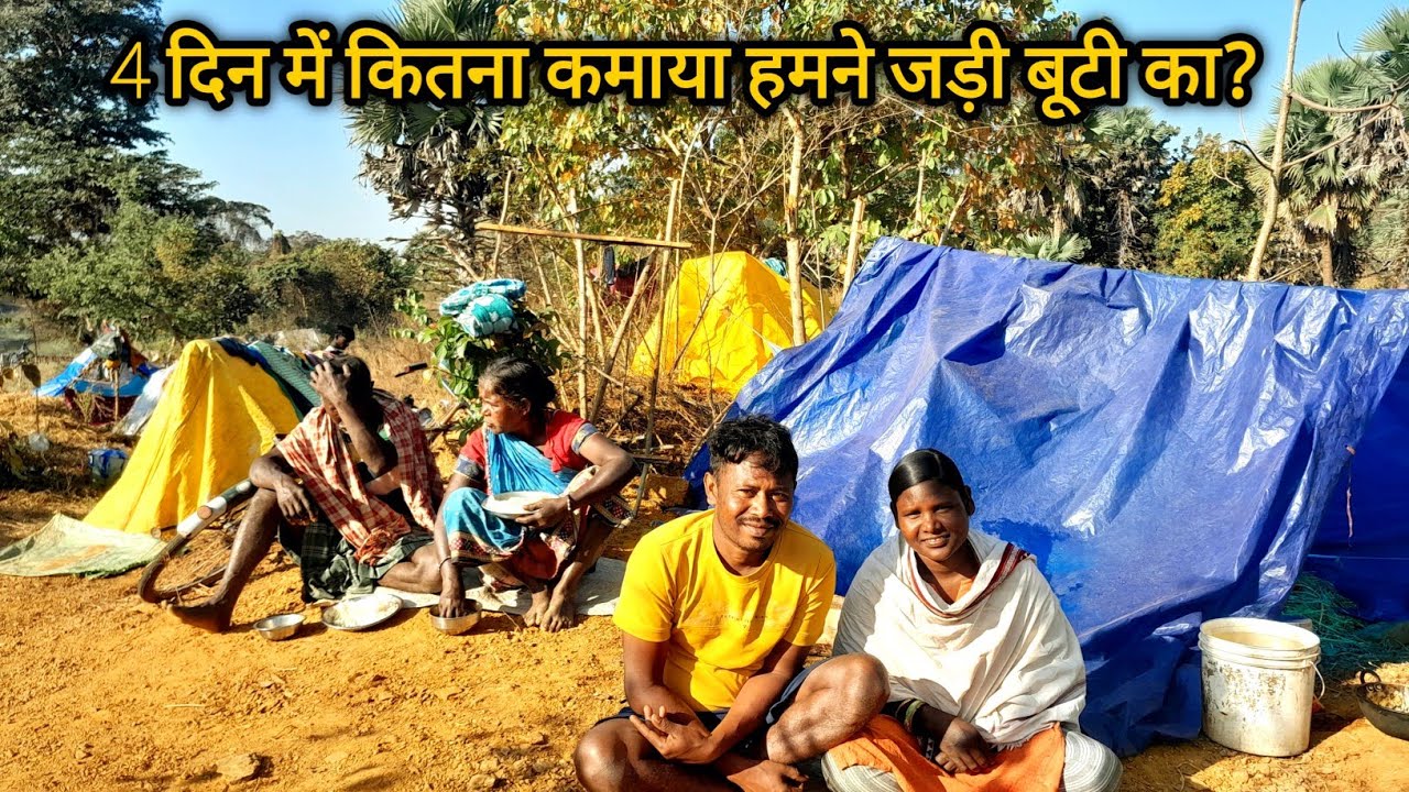 मेहनत का पैसा मिला | जड़ी बूटी बेच दिया हमने।