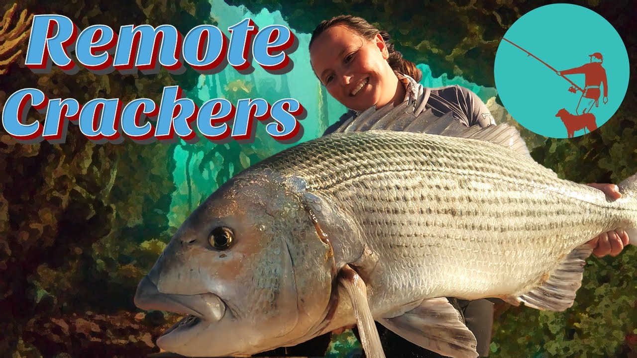 Fishing remote and finding Giant White Musselcrackers: The day I beat Franna Fishing :P