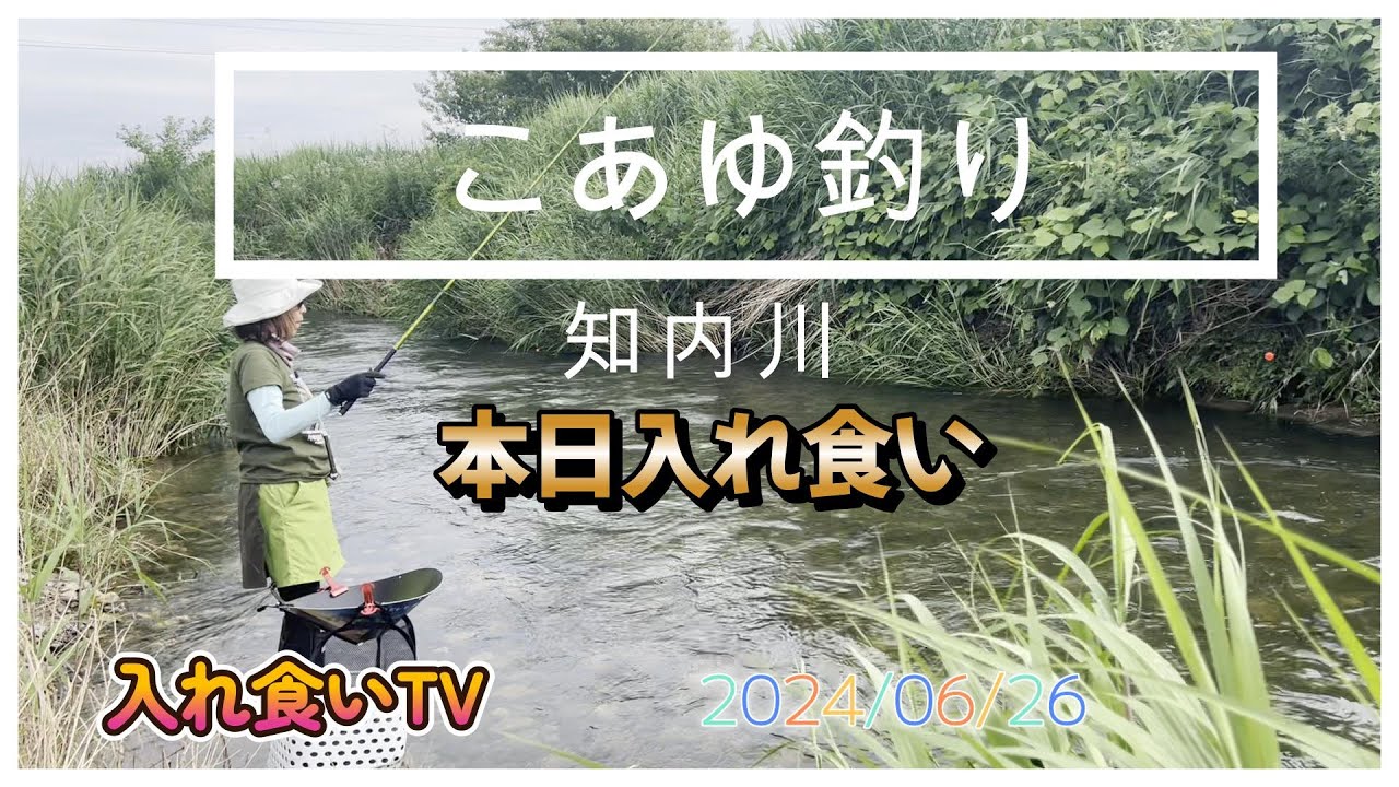 【入れ食いTV】琵琶湖の知内川へ小鮎釣りに出かけます。ブルマン船長と現地集合で夕まずめスタート予定です。https://youtu.be/5ZQuYsVj04U