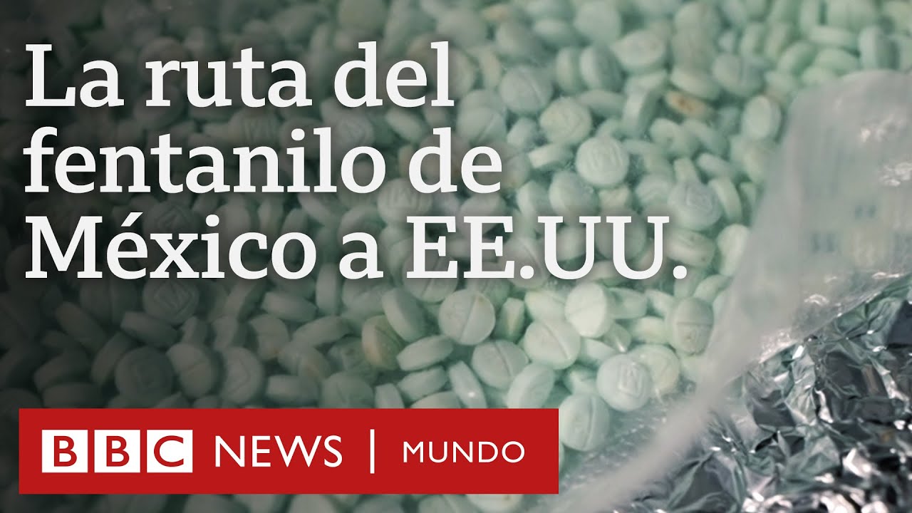 Cómo es la ruta del fentanilo desde un cartel mexicano hasta EE.UU. | Reportaje BBC