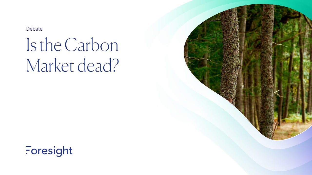 Natural Capital Horizons: Is the Carbon Market Dead?