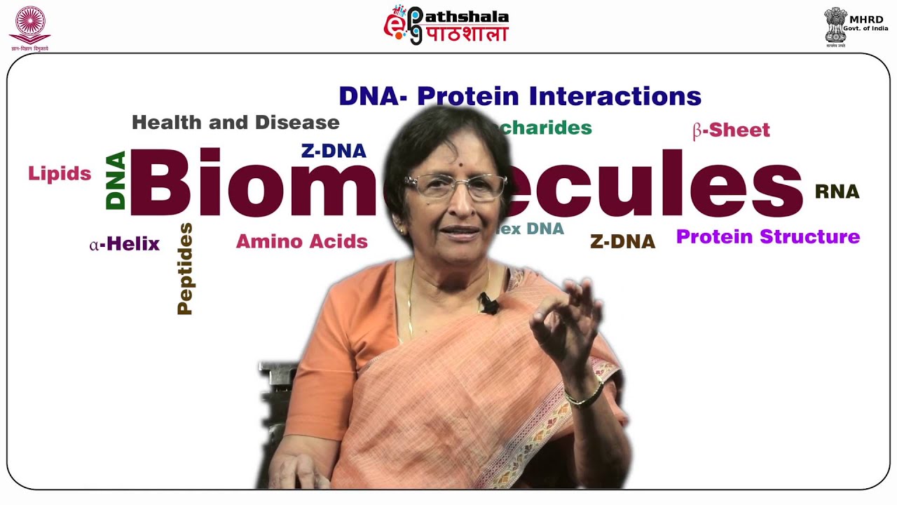 Structure of tRNA and modified nucleotides