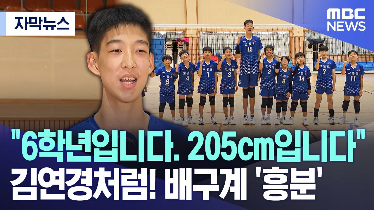 [자막뉴스] 