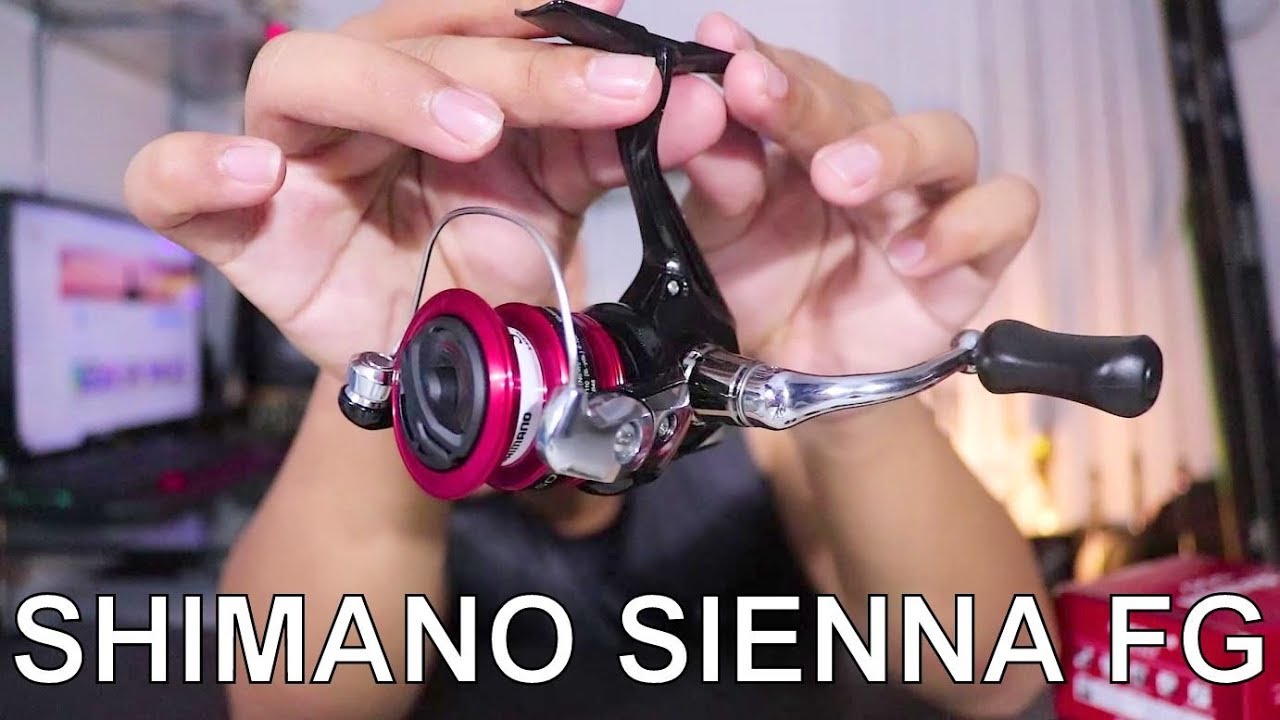 ini Dia Reel Ultralight yang selama ini Gue Cari | NEW SHIMANO SIENNA 500 FG
