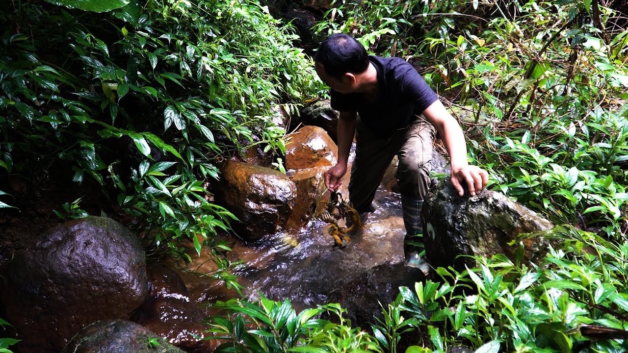 Foraging by the stream after the rainstorm - Crabs | LIVING OFF THE GRID | Episode 87