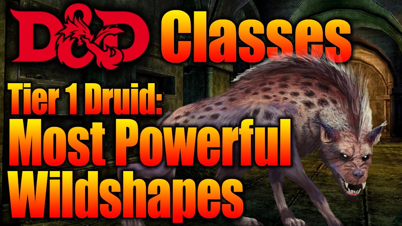 Moon Druid Wild Shape Guide: Top 3 Beasts for Tier 1
