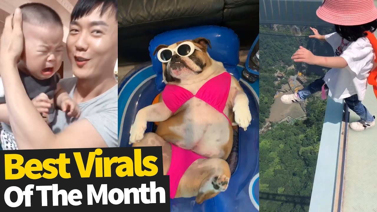 Top Viral Videos Of The Month - July 2019