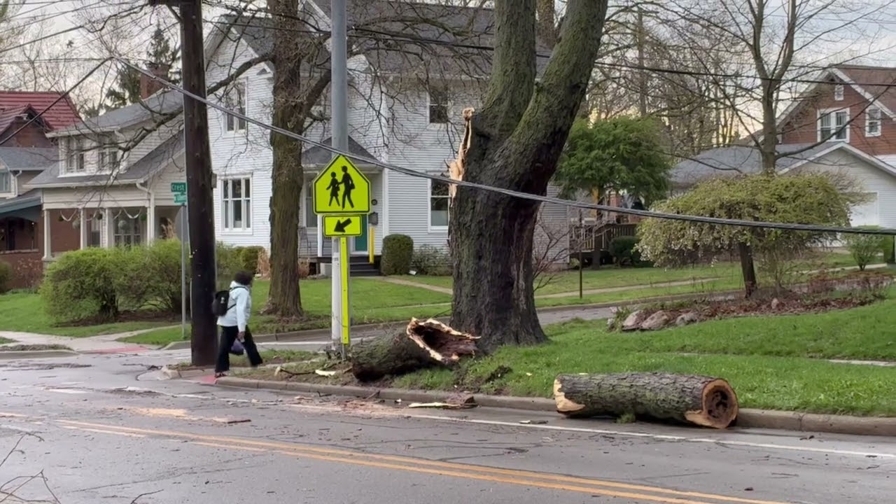 Severe storms cause damage in Ann Arbor