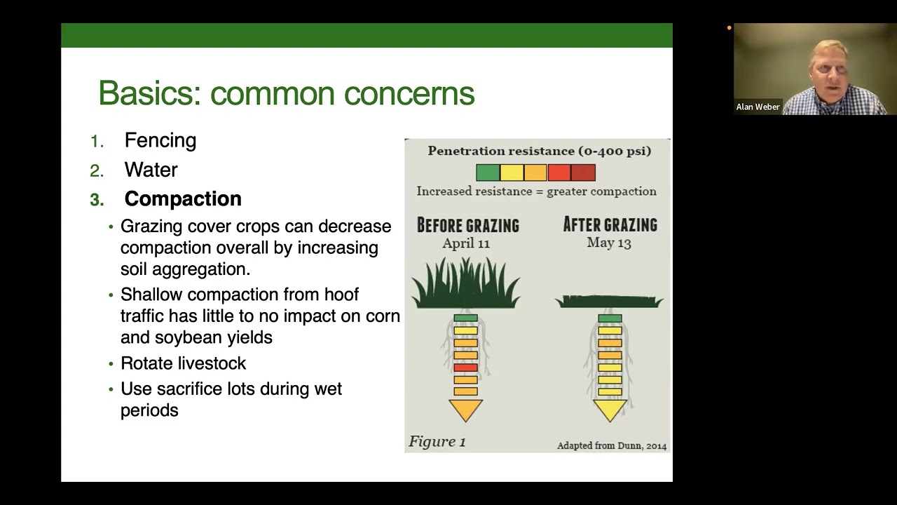 Grazing Cover Crops
