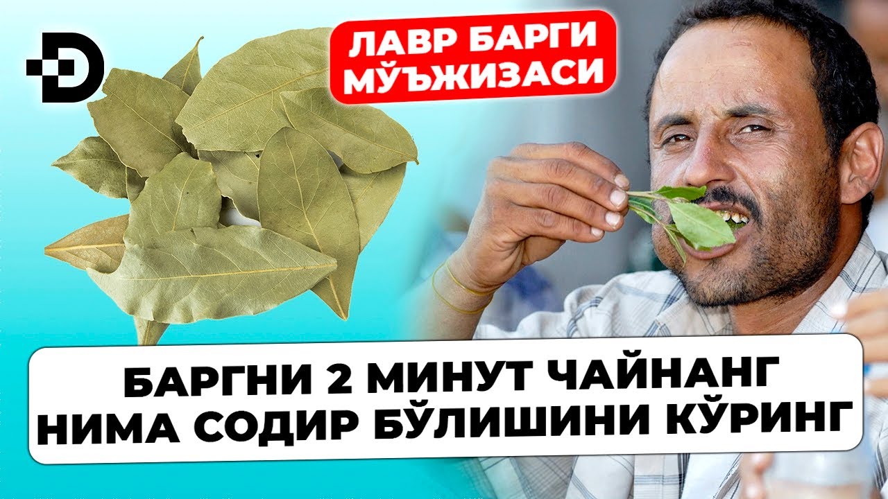 ХАР КУН ЛАВР БАРГИНИ ЧАЙНАЙМАН. БЎҒИМ ОҒРИҚЛАРИ ЙЎҚОЛИБ ЮГУРИБ ЮРИБМАН. ХАЛҚ ТАБОБАТИ