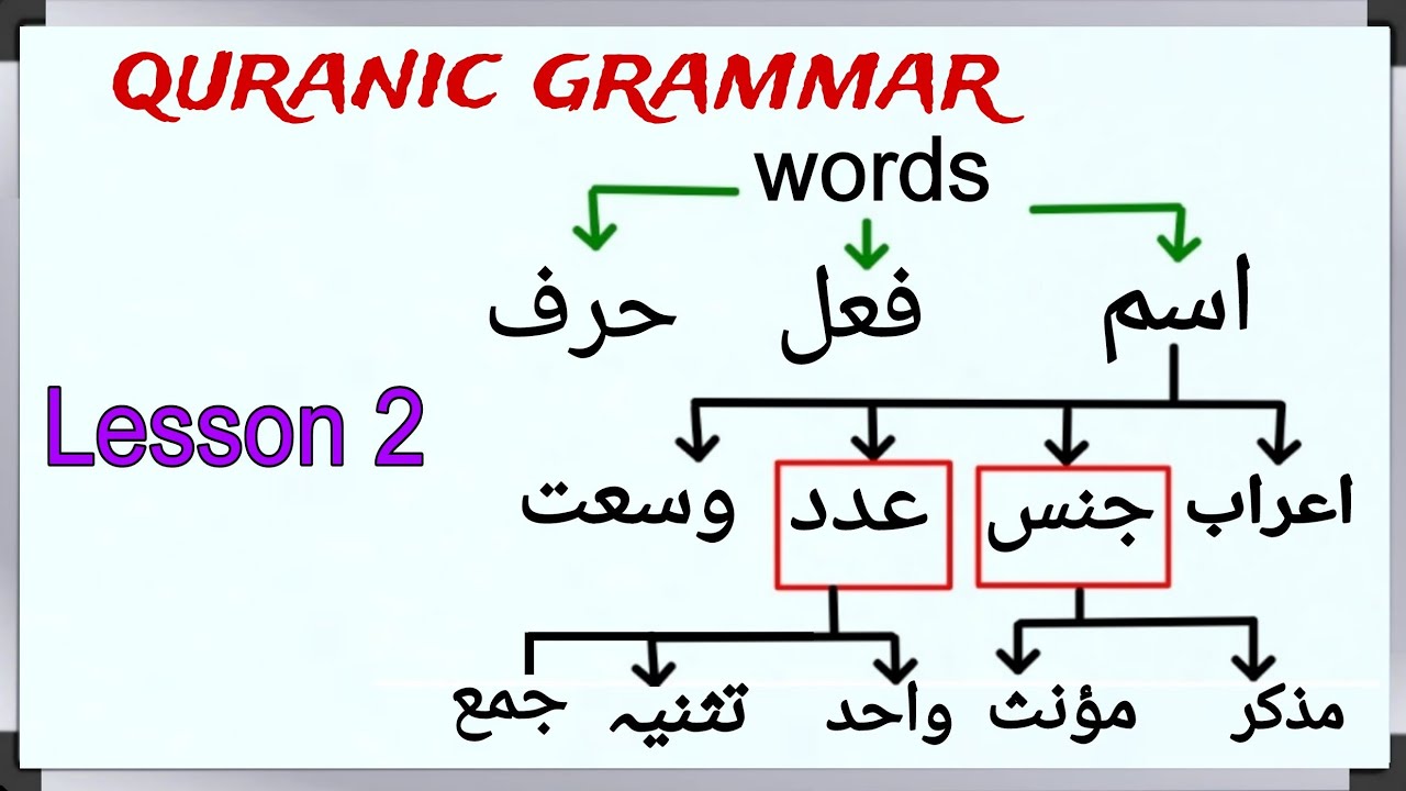 JINS | Muzzakar & Mu'anas | ADDAD | Singular , Dual & Plural | Arabic grammar | lesson 2
