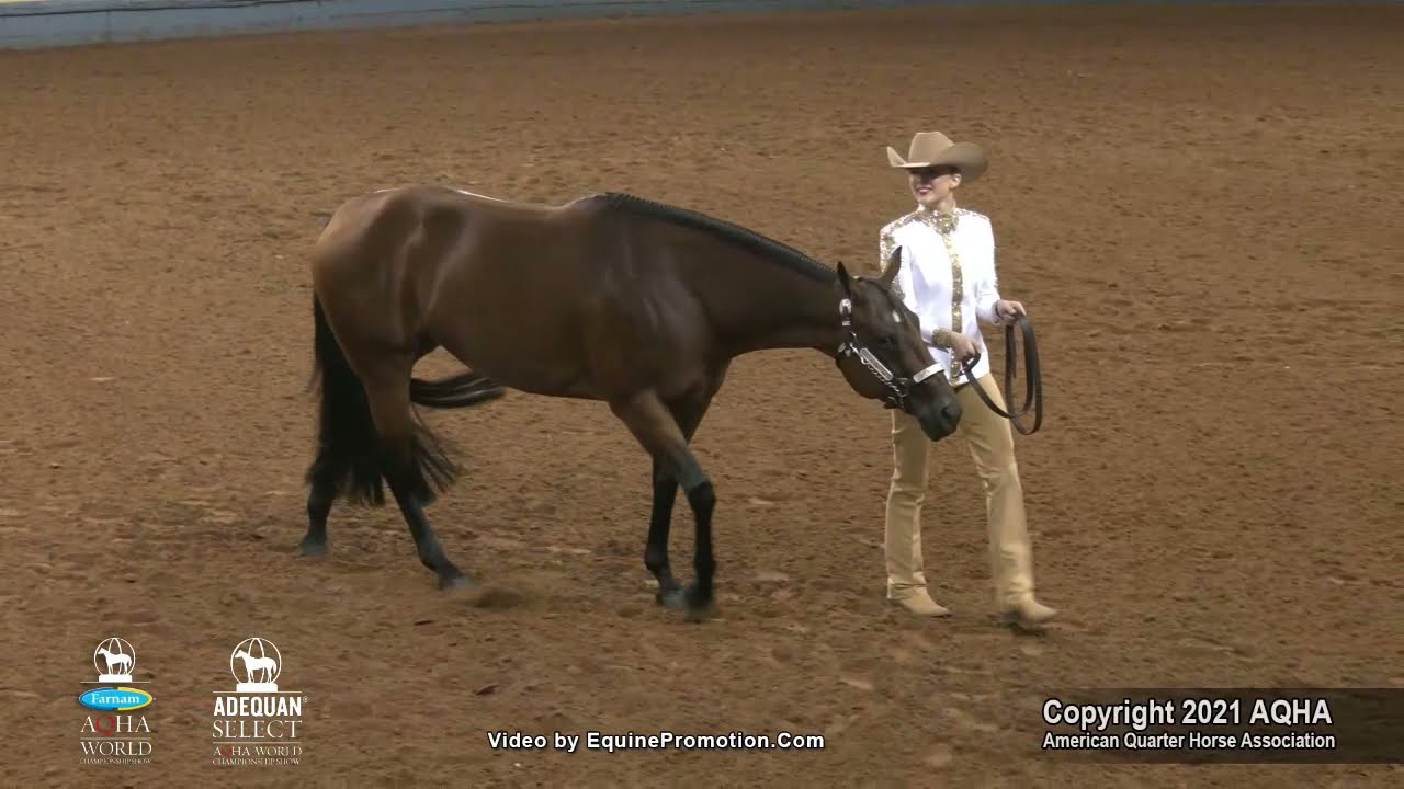 2021 AQHA Amateur Showmanship