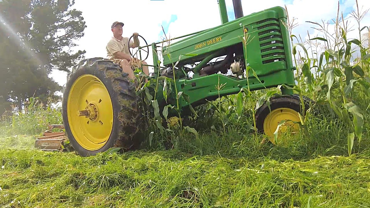 «Рабочая танцовщица» John Deere A 1949 года косит стебли кукурузы и движется по маршруту парада.