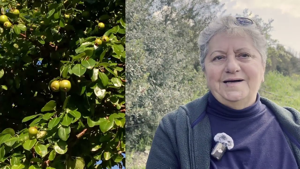 Viaggio in Basilicata, dove un’agricoltrice salva e rilancia antichi frutti e ortaggi dimenticati