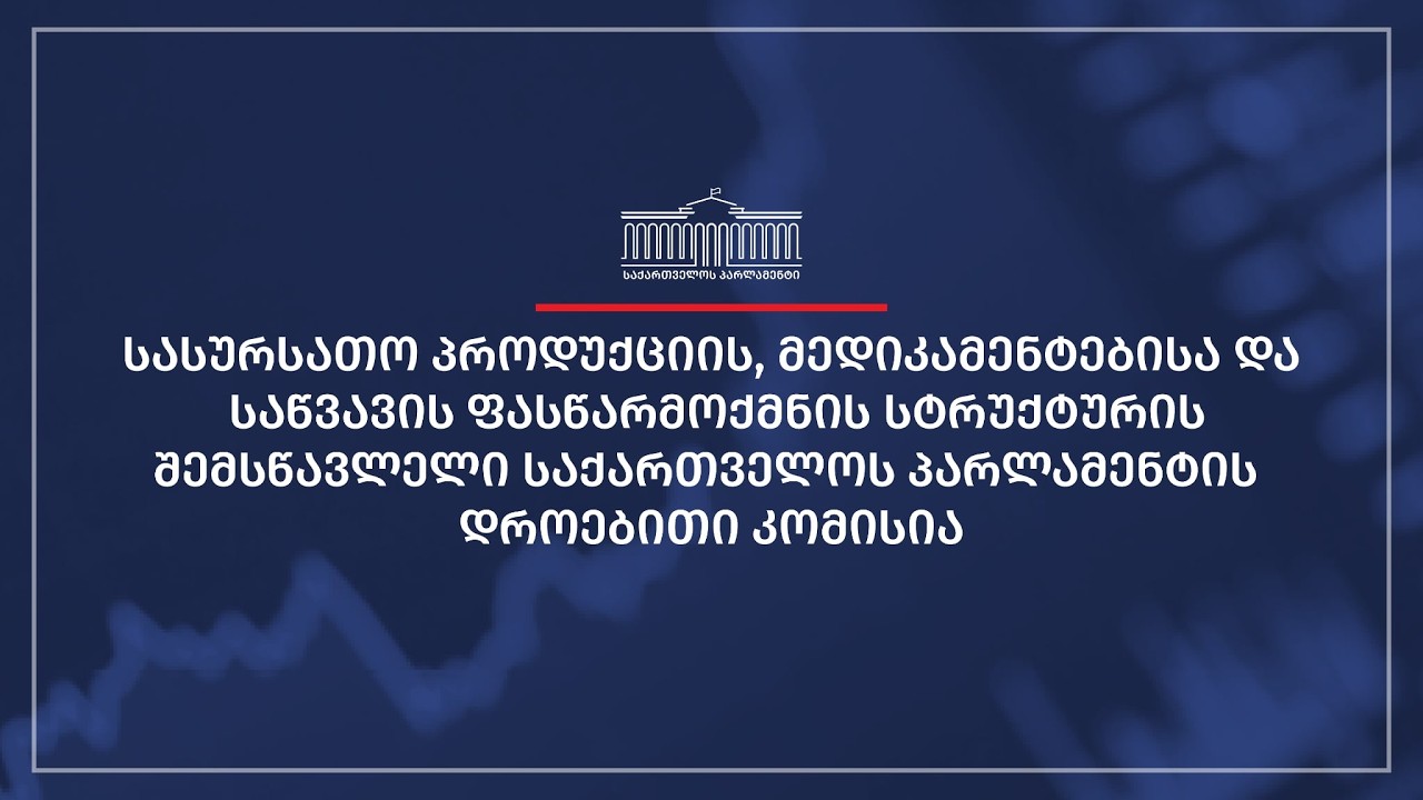 საქართველოს პარლამენტის დროებითი კომისიის სხდომა N8 - 16.03.2026